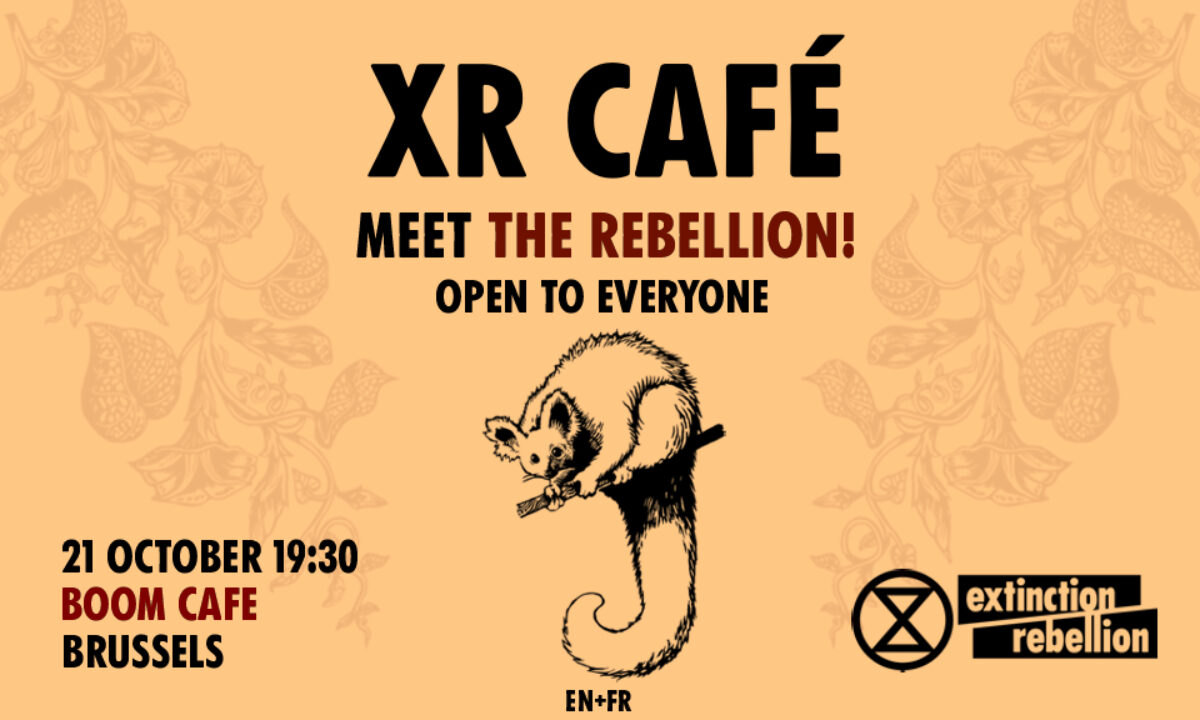Meet the Rebellion 21 October 19:30 Boom Café