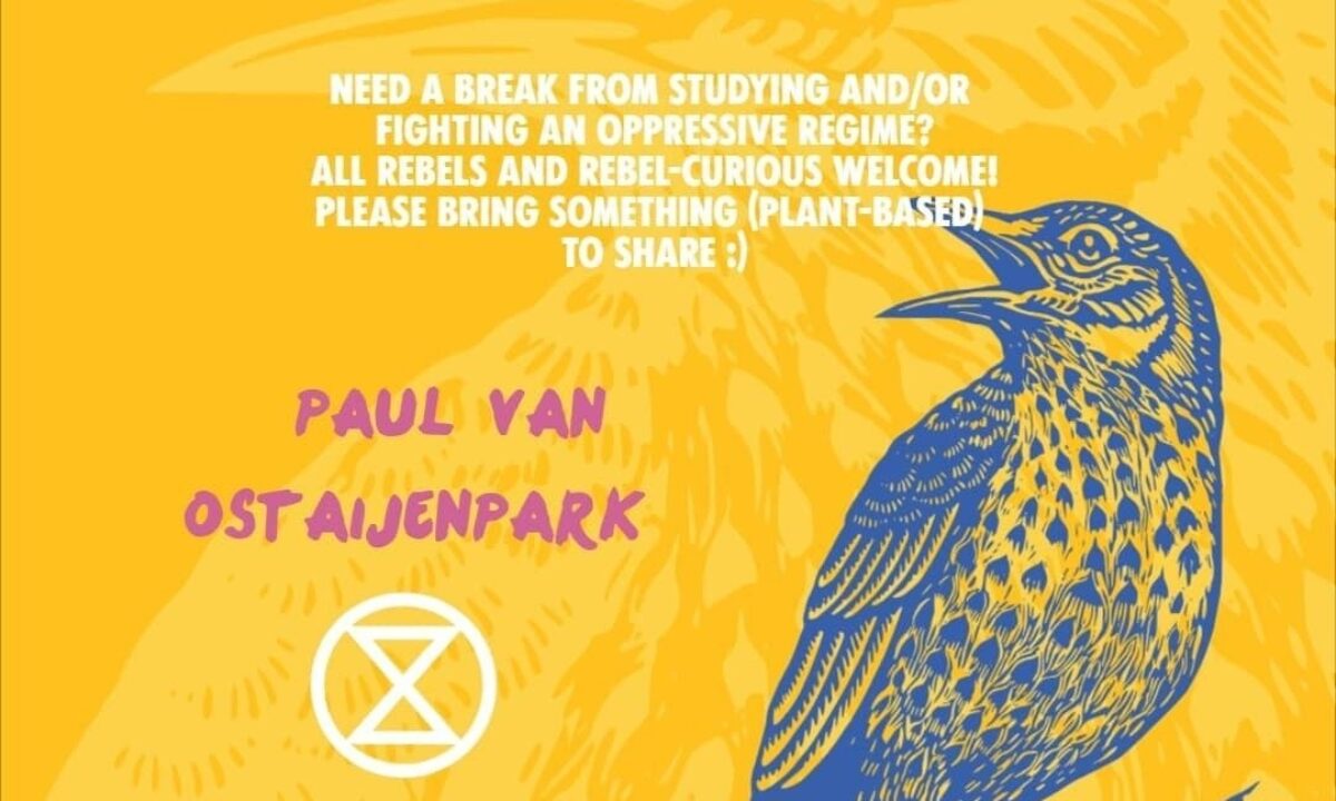 Need a break from studying and/or fighting an oppressive regime? All rebels and rebel-curious welcome!