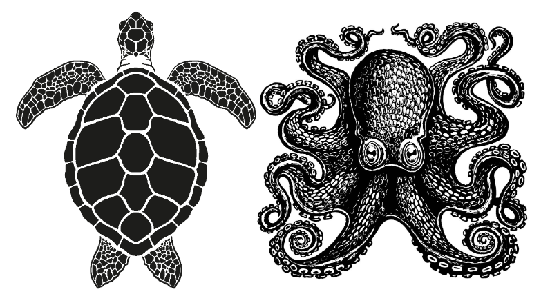 Turtle Octopus